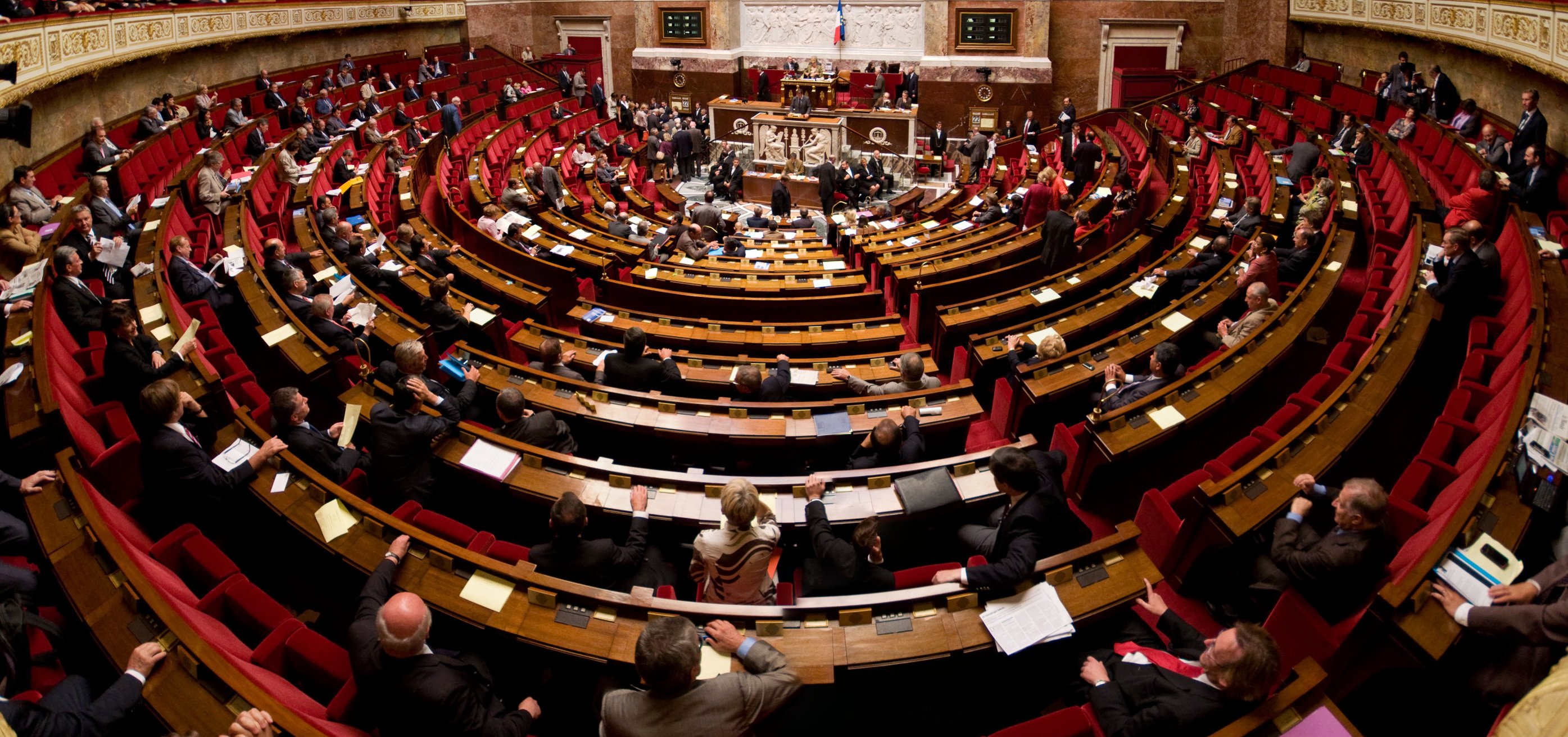 comprendre elections legislatives assemblee nationale